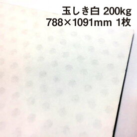 玉しき 白 200kg 788×1091mm 1枚|玉模様 透かし 和風 水玉模様 ドット 特殊紙 特厚物 背景紙 フォトバックペーパー