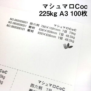 }V}Coc 225kg A3 100|F  ItZbg CNWFbg hH }`y[p[ h lD i^O