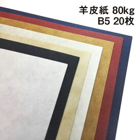 羊皮紙 80kg B5 20枚|全5色 皮の雰囲気 パーチメント 地模様 本のカバー 中紙 カード 名刺