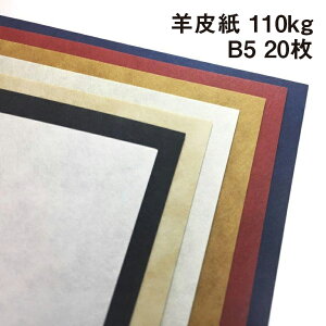 r玆 110kg B5 20|S5F1FI ͋̕C p[`g n͗l {̃Jo[  J[h h