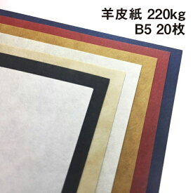 羊皮紙 220kg B5 20枚|全5色 皮の雰囲気 パーチメント 地模様 本のカバー 中紙 カード 名刺