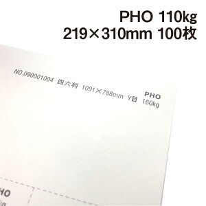 PHO 110kg A4Ch 100|hHp Photograph i` v[ X[X veBOt@V[ J[h ؏