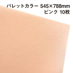 ���b�s���O�p��� �p���b�g�J���[ �s���N�iA16�j 10�� 545×788mm |�ӂ�ӂ� �G�A���[ �ɔ�