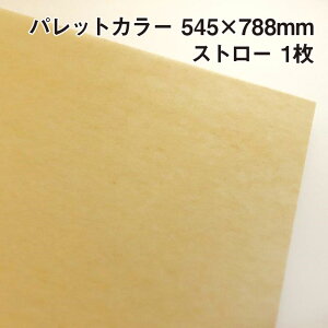 bsOp pbgJ[ Xg[iA04j 1 545×788mm |ӂӂ GA[ ɔ ̓ ̓