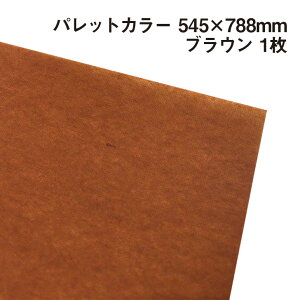 ラッピング用包装紙 パレットカラー B05ブラウン 545×788mm 1枚|ふわふわ エアリー 極薄 メール便発送 バレンタイン