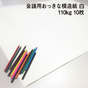 yyVX[p[SALE|Cg10{zI񂾉cpȖ͑ 10Zbg 110kg|傫 ۂ߂Ă͂