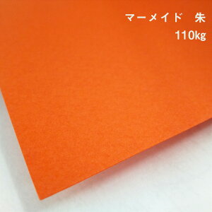 y̌{m[g_p.5z}[Ch  110kg(0.22mm) A4(210×297mm) 20|TCYΉ\  ʉ