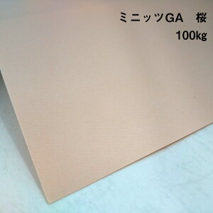 y̌{m[g_p.10z~jbcGA  100kg(0.16mm) A4(210×297mm) 20