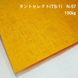 【紙の見本帳ノート_p.15】タントセレクトTS-1 N-57 100kg(≒0.18mm) A4(210×297mm) 20枚