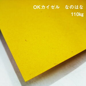 y̌{m[g_p.17zOKJC[ Ȃ̂͂ 110kg(0.21mm) A4(210×297mm) 20|ӂ Ђ Jt
