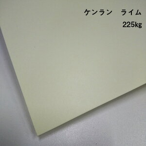 y̌{m[g_p.27zP C 225kg(0.28mm) A4(210×297mm) 20|J[y[p[  H h J[h s@ y[p[Ntg ANZT[ 䎆 ^O