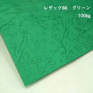y̌{m[g_p.29zUbN66 O[ 100kg(0.13mm)A4(210×297mm) 20