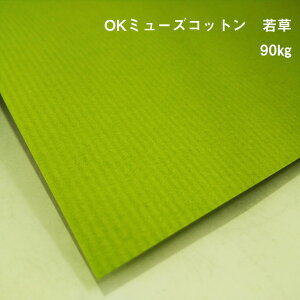 y̌{m[g_p.30zOK~[YRbg ᑐ 90kg(0.17mm) A4(210×297mm) 20|pXe FM ʉ {̕\ J[h