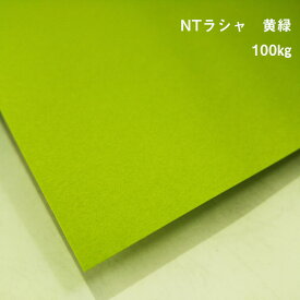 【紙の見本帳ノート_p.31】NTラシャ 黄緑 100kg(≒0.20mm) A4(210×297mm) 20枚