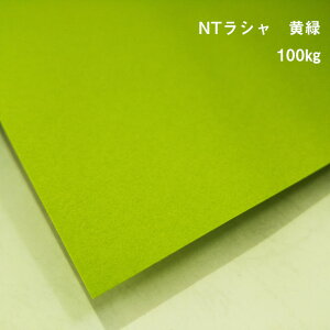 y̌{m[g_p.31zNTV  100kg A4(210×297mm) 20|t Ή