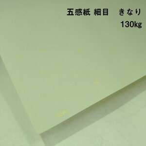 y̌{m[g_p.39zOK~[YL ~g 90kg(0.16mm) A4(210×297mm) 20| ECFpv