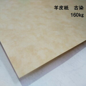 �y���̌��{���m�[�g_p.75�z�r�玆 �Ð� 160kg(0.27mm) A4(210×297mm) 20��|�{�̃J�o�[ ���� �J�[�h ���h