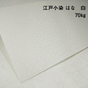 y̌{m[g_p.78z]ˏ ͂  70kg(0.11mm) A4(210×297mm) 20