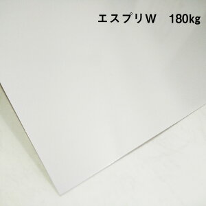 y̌{m[g_p.87zGXvW 110kg(0.11mm) A4(210×297mm) 20|ʋ