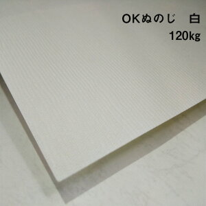 y̌{m[g_p.92zOKʂ̂ 120kg (0.24mm) A4(297×210mm) 20|zn t@V[y[p[ ꎆ ʉ