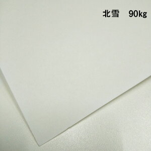 y̌{m[g_p.96zk 90kg(0.12mm) A4(210×297mm) 20|p Pg CNWFbgv^[ł̃vgOK