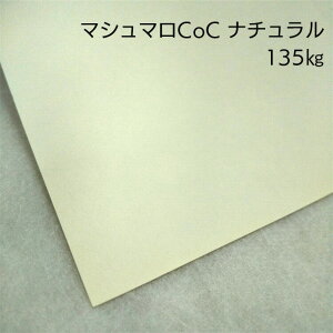 y̌{m[g_p.99z}V}Coc i` 135kg(0.17mm) A4(210×297mm) 20|Ə؏p