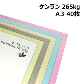 ケンラン 265kg A3 40枚|全44色 厚紙カラーペーパー 工作 名刺 カード 紙飛行機 ペーパークラフト アクセサリー 台紙 タグ 箱 建築模型 ジオラマ 紙模型 鉄道模型