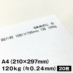 OKʂ̂ 120kg A4 20|t@Cy[p[ ꎆzn t@V[y[p[ ꎆ ʉ F G{X a  zn͗l