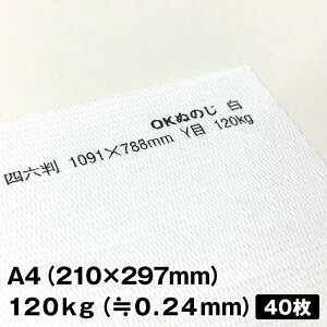 OKʂ̂ 120kg A4 40|t@Cy[p[ ꎆzn t@V[y[p[ ꎆ ʉ F G{X a  zn͗l