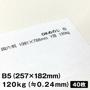 OKʂ̂ 120kg B5 40|t@Cy[p[ ꎆzn t@V[y[p[ ꎆ ʉ F G{X a  zn͗l