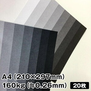 g[F 160kg A4 20|O[ t@V[y[p[ ꎆ N[O[ EH[O[ ʐF pbP[W J[h 