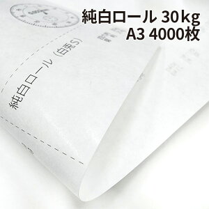 �������[�� 30kg A3 4000��|��� ���F ������ ���ܗp ���߂���J�����_�[