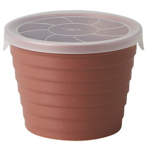 y20OFFzf{bNX M 330ml TAMAKI G[W[vXR[gbRۂŐbdqWEH@Ήb 킢 Vvbk JtF ؍ pbH M  ۑebMt