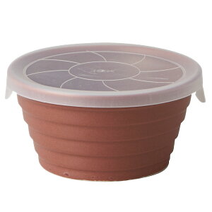 【20%OFF】デリボックス S 270ml TAMAKI エージープラスコート|抗菌で清潔|電子レンジ・食洗機対応|おしゃれ かわいい シンプル|北欧 カフェ 韓国 台湾風|食器 お皿 小鉢 保存容器|ギフ