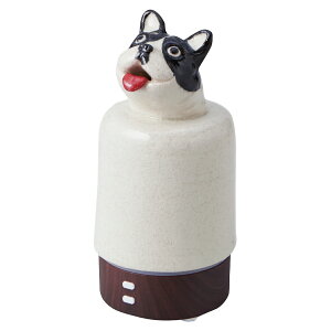 y20%OFFzTAMAKI Aj}A}fBt[U[ STCY  킢 uT킢  S  uhbO {XgeA CeA Mtg v[g