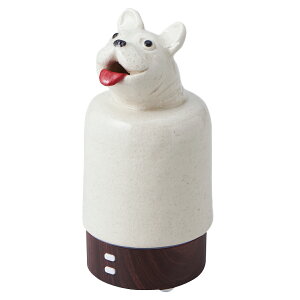 y20%OFFzTAMAKI Aj}A}fBt[U[ STCY  킢 uT킢  S  uhbO {XgeA CeA Mtg v[g