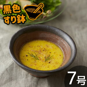 TAMAKI Ȃ 蔫 7 22cm 1.500ml  킢 Vv k ؍ p JtF H M {E  ܂  Ƃ T_ ̓ V Mtg v[g