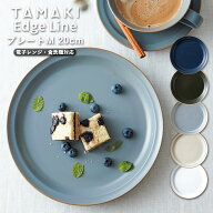 お皿 食器 TAMAKI エッジライン プレート M 20cm｜くすみカラー5色展開｜電子レンジ 食洗機対応｜重ねる …