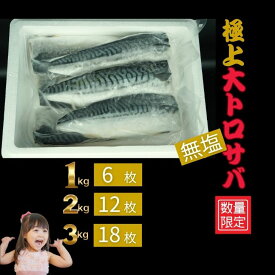 厳選大トロ鯖フィレ1kg　【160g前後の6枚入り】ノルウェー産100％使用。塩を加えず素材本来の味を活かした贅沢な一品。2kg（12枚前後）3kg（18枚前後）から選べます。（北海道・九州・沖縄・離島は除く）