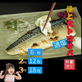 厳選大トロ適塩鯖フィレ1kg　【160g前後の6枚入り】ノルウェー産100％使用。程よい塩加減で素材本来の味を活かした贅沢な一品。2kg（12枚前後）3kg（18枚前後）から選べます。（北海道・九州・沖縄・離島は除く）