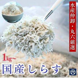 【送料無料】しらす1kg ご家庭の小分け用に　離乳食用に　丸六厳選の美味しいしらす干し1kg（※送料無料：北海道・九州・沖縄は除く）ちりめんじゃこ シラス しらす しらす干し イワシ いわし 鰯 【1キロ】