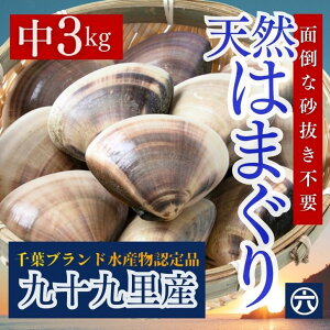 ͂܂ TCY 80`100g Y t\㗢Y i1kg 12Oji2kg 24Oji3kg 36Ojz  BBQ  hV̓ H Ε Ղ  yXJ^A