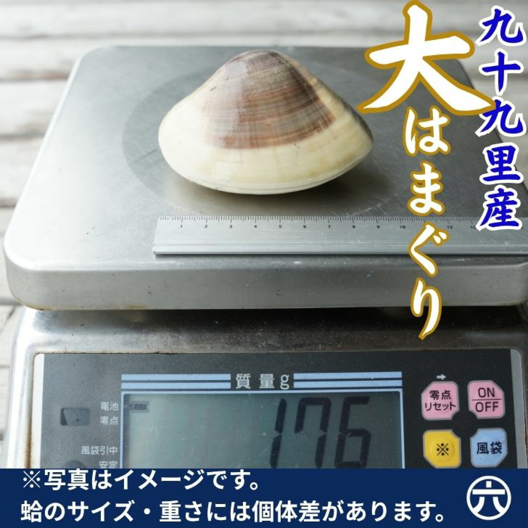 一口では収まらない特大サイズ！の九十九里産天然はまぐりは、贅沢な食べごたえ。焼きはまぐりや蒸し料理にぴったりで、特別な日の演出にも最適です。