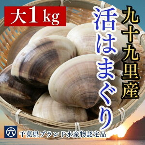 TVŘb݂ǂ̂͂܂ ͂܂ TCY 100`140g Y t\㗢Y i1L6~10j͂܂ z  BBQ  hV̓ H Ε Ղ  y