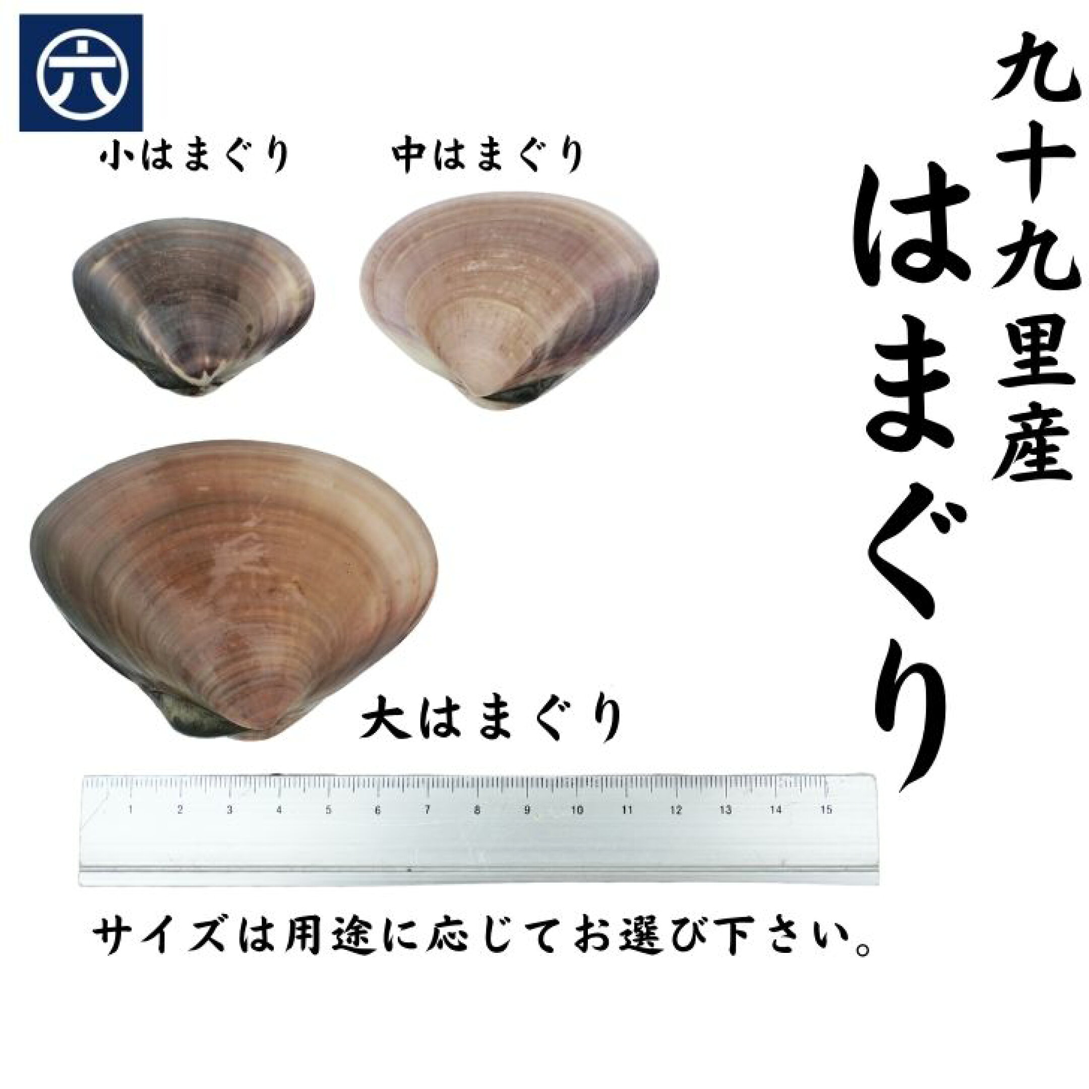 ハマグリ大きさの比較