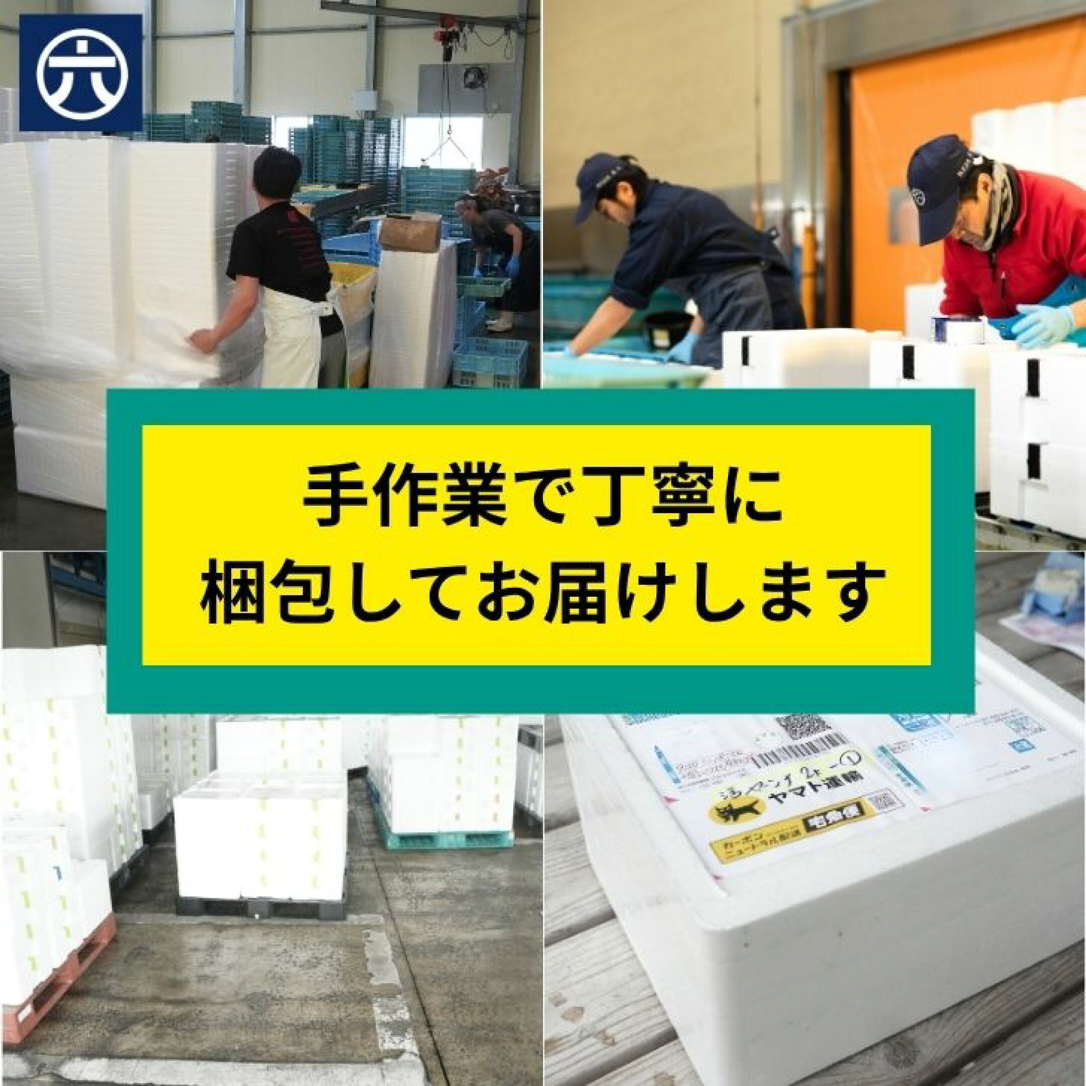 九十九里産地はまぐりを手作業で丁寧に梱包しお届けします