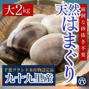 ͂܂ TCY 100`140g ͂܂ Y  ͂܂  t\㗢Y i2kg 12Ojz  BBQ  hV̓ H Ε Ղ  yXJ^A  