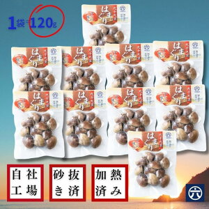 y퉷ۑEYz\㗢Y gg͂܂iTCY120gjM ^pbNbEzEMtgɁy܂ƂߔIz
