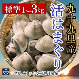 【活はまぐり標準】1粒あたり40～60g標準サイズ はまぐり ハマグリ 国産 蛤 はまぐり はまぐり レシピ 千葉県九十九里産 お吸い物 はまぐり BBQ お中元 敬老の日 お食い初め お歳暮 雛祭り お正月 ペスカタリアン【クーポン利用可】（1kgあたり 16粒〜25粒）1kg 2kg 3kg