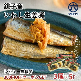 ＼春の新生活応援／P最大10倍＋最大400円OFFクーポン【送料無料】銚子産 いわし生姜煮 5袋 レトルト 鰯 骨まで食べられる 魚惣菜 ご飯のお供 常温保存